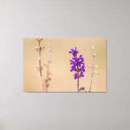 Einfach zum Träumen und Wohlfühlen.. Canvas Afdruk