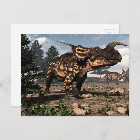 Einiosaurus dinosaurussen in de woestijn - 3D-rend Briefkaart (Voorkant / Achterkant)