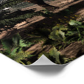 Einiosaurus dinosaurussen in de woestijn - 3D-rend Poster (Hoek)