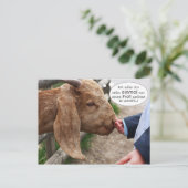 ...einmal von einem Profi gefüttert zu werden... Briefkaart (Staand voorkant)