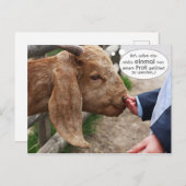 ...einmal von einem Profi gefüttert zu werden... Briefkaart (Voorkant / Achterkant)