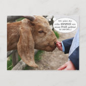 ...einmal von einem Profi gefüttert zu werden... Briefkaart (Voorkant)