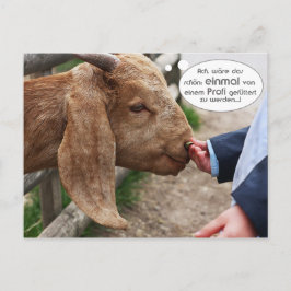 ...einmal von einem Profi gefüttert zu werden... Briefkaart
