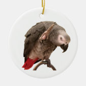 Einstein African Gray Parrot Waving Keramisch Ornament (Voorkant)