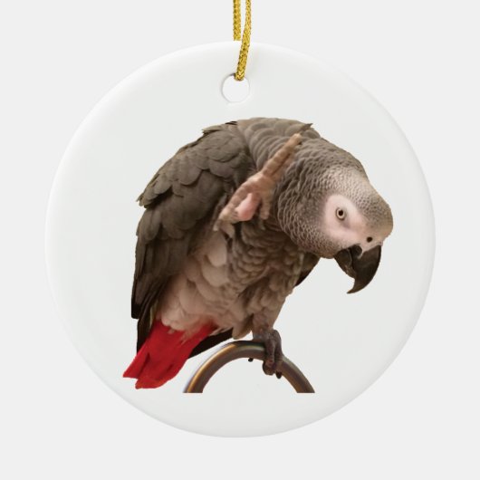 Einstein African Gray Parrot Waving Keramisch Ornament (Voorkant)