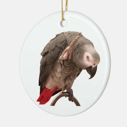 Einstein African Gray Parrot Waving Keramisch Ornament (Links)