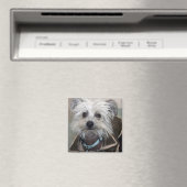 Einstein de Hond Magneet (Insitu (Vaatwasser))