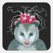 Einstein de opossum stickers (Voorkant)