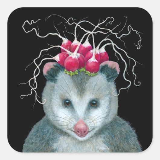 Einstein de opossum stickers (Voorkant)