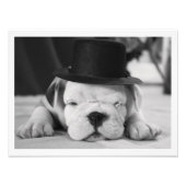 "Einstein" English Bulldog Puppy Foto Afdruk (Voorkant)