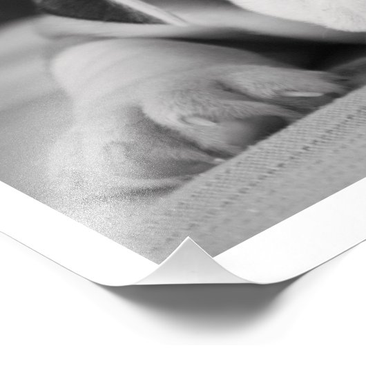 "Einstein" English Bulldog Puppy Foto Afdruk (Hoek)