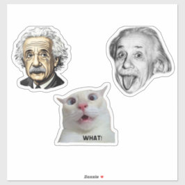 Einstein Geniaal & Grappige Kat Sticker 
