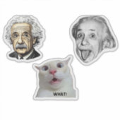 Einstein Genius & Hilarious Cat Sticker  (Voorkant)