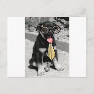 Einstein is een slimme zwarte puppy hond briefkaart