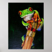 Einstein the Red-Eyed Tree Frog Fine Art Prints (Voorkant)