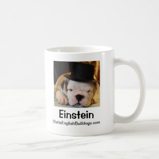 Einstein - WattsEnglishBulldogs.com Mok