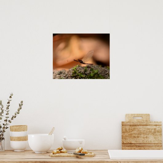 Eintagsfliege Poster (Keuken)