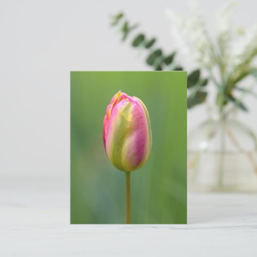 Einzelne Tulpe Briefkaart (Staand voorkant)