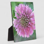 Einzigartige rosa Blüte Fotoplaat (Zijkant)