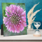 Einzigartige rosa Blüte Fotoplaat (Zijkant)