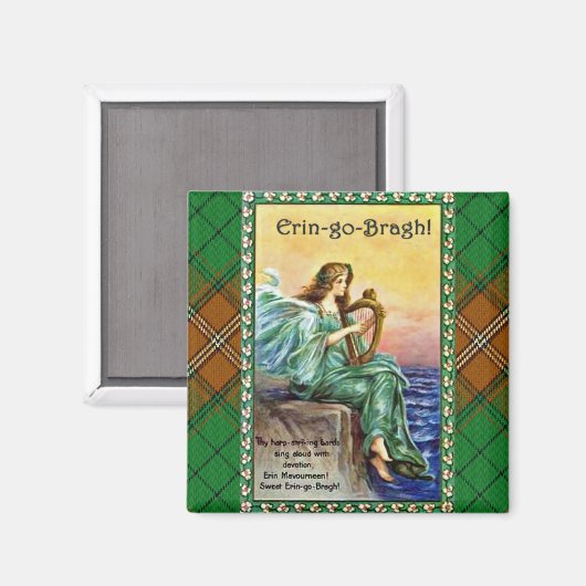Éirinn met Harp Magneet (Voorkant / Achterkant)