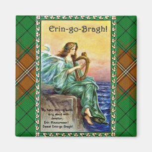 Éirinn met Harp Magneet
