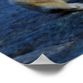 Eisbaer Poster (Hoek)