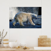 Eisbaer Poster (Keuken)