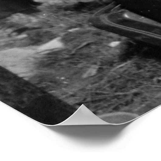 Eisenhower en Bradley praten over verzet Poster (Hoek)