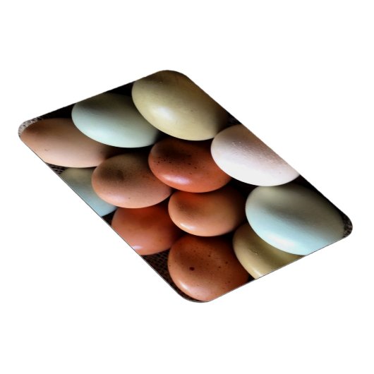  eitjes van kippeneieren Boerderij Magneet (Rechterzijde)