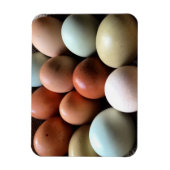  eitjes van kippeneieren Boerderij Magneet (Verticaal)