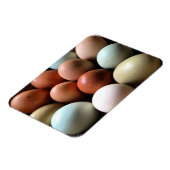  eitjes van kippeneieren Boerderij Magneet (Linkerzijde)