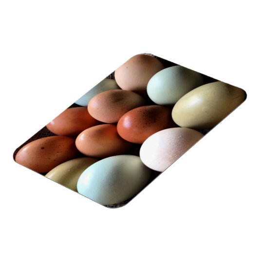 eitjes van kippeneieren Boerderij Magneet (Linkerzijde)