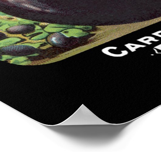 Eitplant  zaadpakket poster (Hoek)