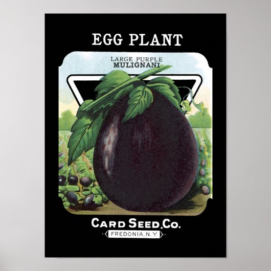 Eitplant  zaadpakket poster (Voorkant)