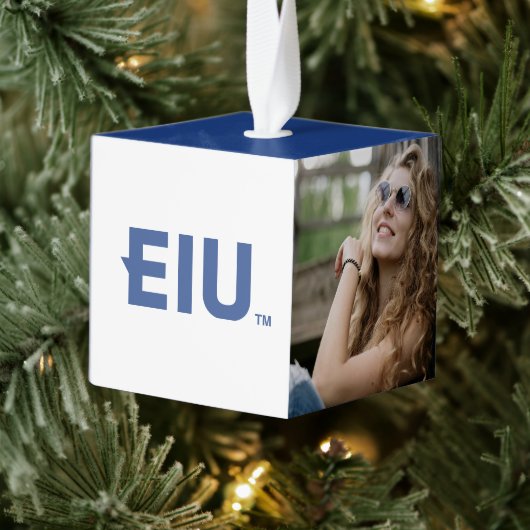 EIU-blokletter Decoratie (Boom)