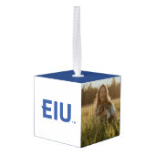 EIU-blokletter Decoratie (Achter hoekig)