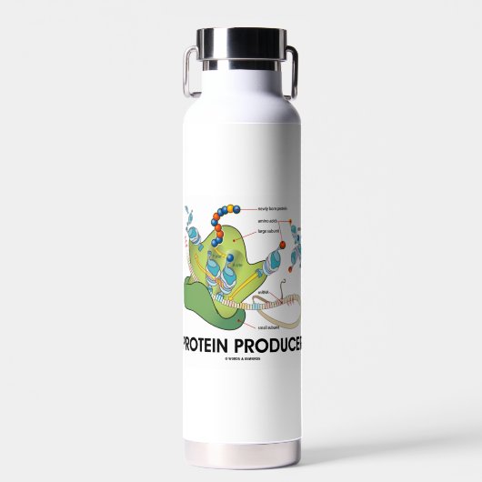 Eiwit Producent mRNA tRNA Eiwitsynthese Waterfles (Voorkant)