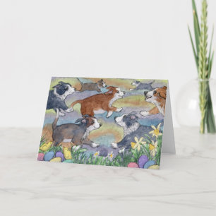 Eiwithonden, border collie card feestdagen kaart