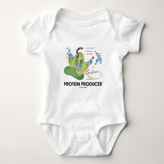 Eiwitproducent (biologie-eiwitsynthese) romper (Voorkant)