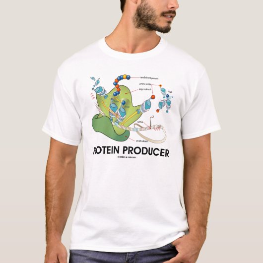 Eiwitproducent (eiwitsynthese) t-shirt (Voorkant)