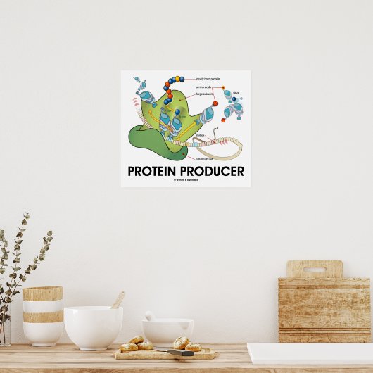Eiwitproducent (moleculaire biologie) poster (Keuken)