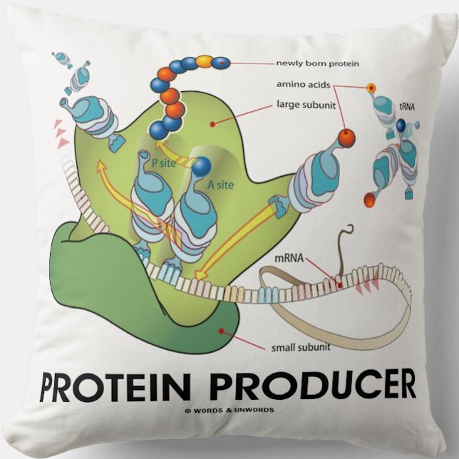 Eiwitproducent mRNA tRNA Proteïne Synthese Kussen (Molecular biology throw pillow for anyone who produces proteins - and that means you!)