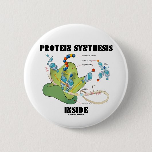 Eiwitsynthese binnen (celbiologie) ronde button 5,7 cm (Voorkant)