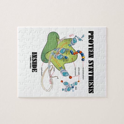 Eiwitsynthese binnenin (mRNA tRNA) Legpuzzel (Horizontaal)