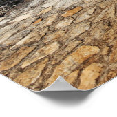 Ek-Balam archeologische site Poster (Hoek)