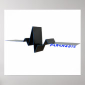 EKG Paramedic Poster (Voorkant)