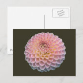 Eklat Briefkaart (Voorkant / Achterkant)