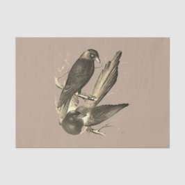 ekster en Jack Daw - Sepia Tissuepapier