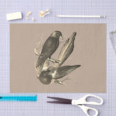 ekster en Jack Daw - Sepia Tissuepapier (Craft)